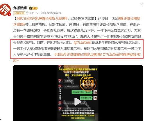 爆料时间全部视频播放,爆料视频播放量背后的惊人真相 第3张 爆料时间全部视频播放,爆料视频播放量背后的惊人真相 第3张