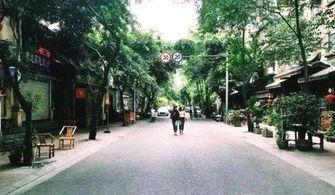 成都公园舆论爆料事件最新  第1张